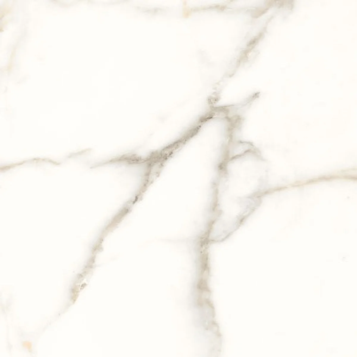Dlažba Trilogy 0.3 calacatta white lux 100x100 cm